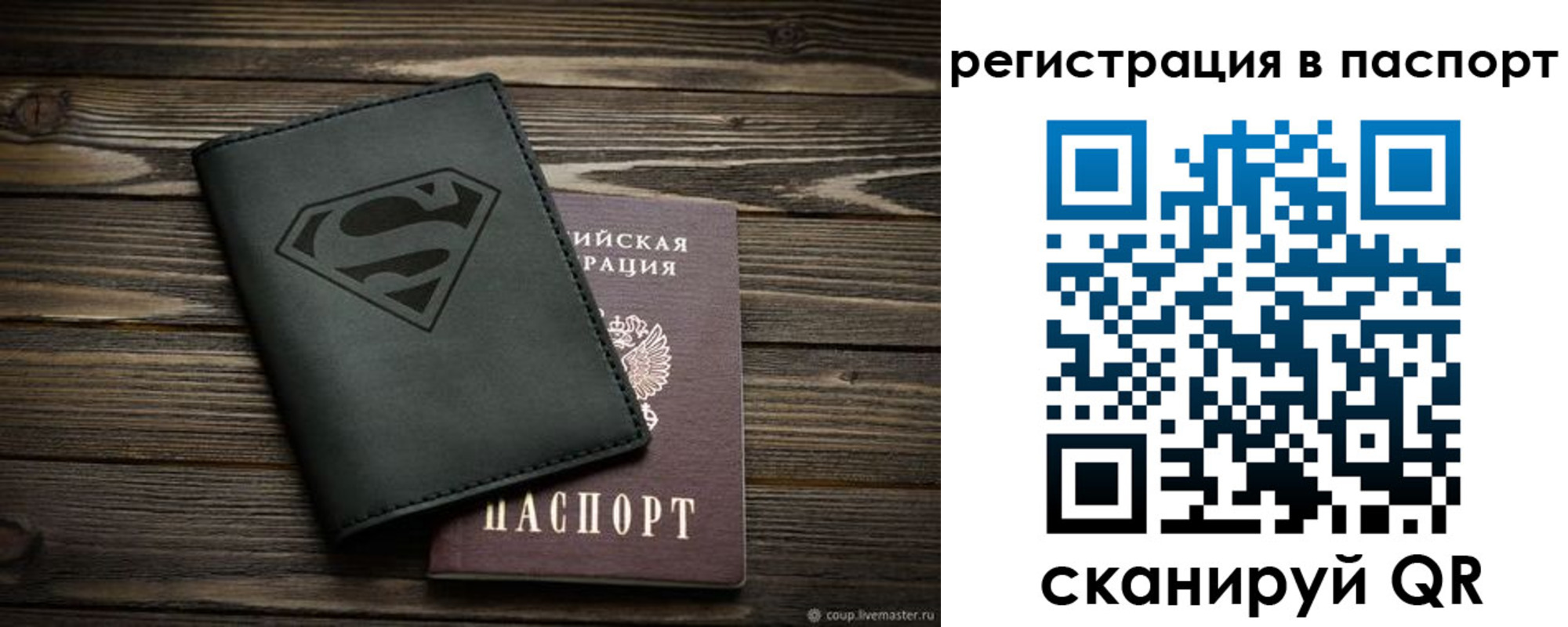прописка для школы в Полярных Зорях
